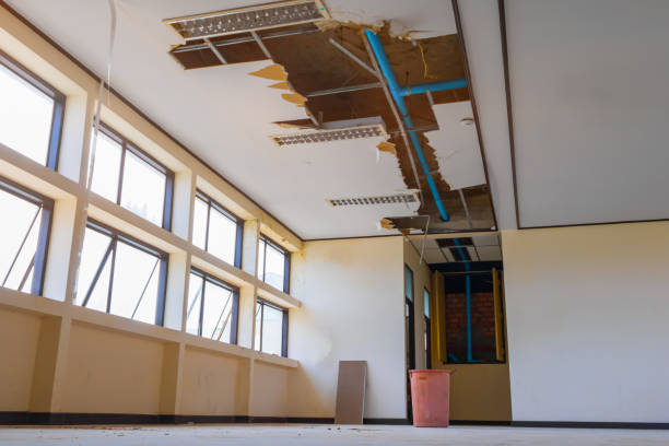 Best 24/7 water damage repair  in Matamoras, PA