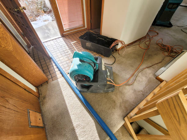 Best Water damage restoration mold remediation  in Matamoras, PA