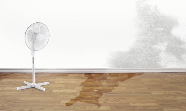 Best Fire Damage Restoration  in Matamoras, PA