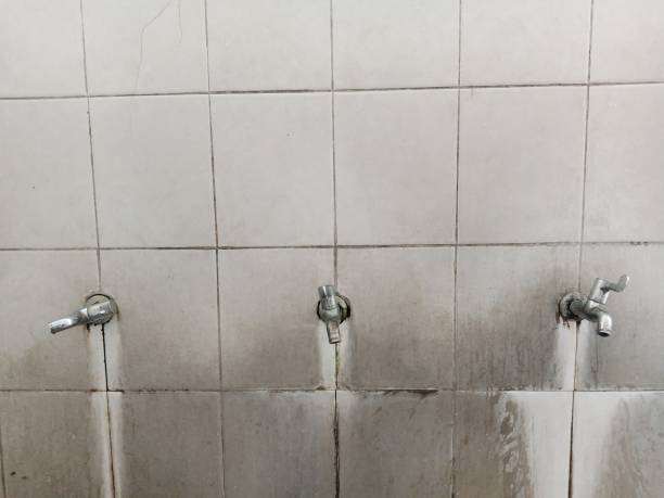 Best Ceiling water damage repair  in Matamoras, PA