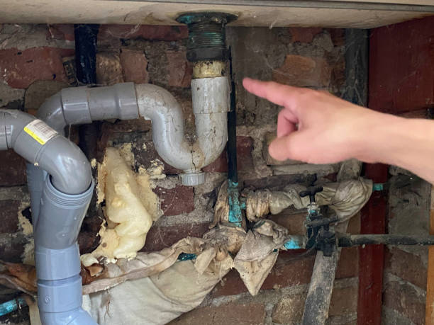 Best Basement water damage restoration  in Matamoras, PA